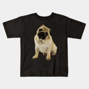 Pug Dog, Cream Pug Dog Lover Kids T-Shirt